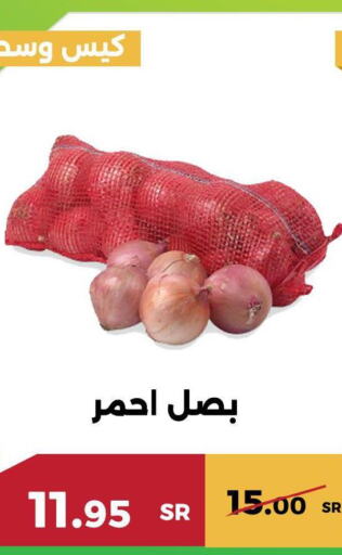  Onion  in حدائق الفرات in مملكة العربية السعودية, السعودية, سعودية - مكة المكرمة