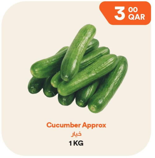  Cucumber  in طلبات مارت in قطر - الوكرة