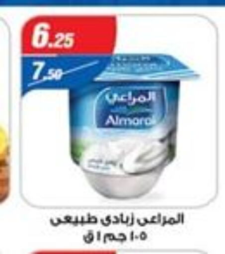 ALMARAI Yoghurt  in Zaher Dairy in Egypt - Cairo