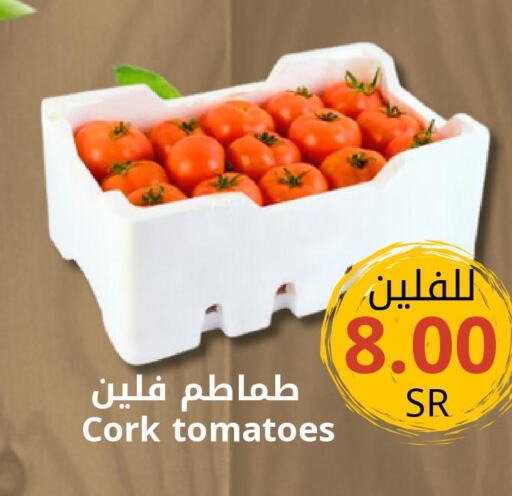  Tomato  in جوول ماركت in مملكة العربية السعودية, السعودية, سعودية - المنطقة الشرقية