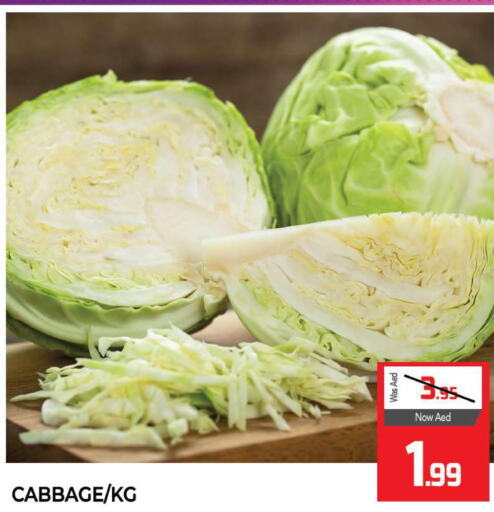  Cabbage  in المدينة in الإمارات العربية المتحدة , الامارات - الشارقة / عجمان