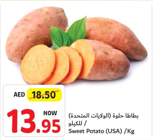  Sweet Potato  in تعاونية أم القيوين in الإمارات العربية المتحدة , الامارات - أم القيوين‎