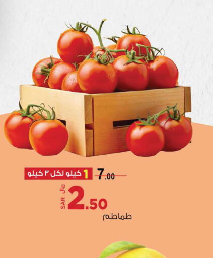  Tomato  in Supermarket Stor in KSA, Saudi Arabia, Saudi - Jeddah