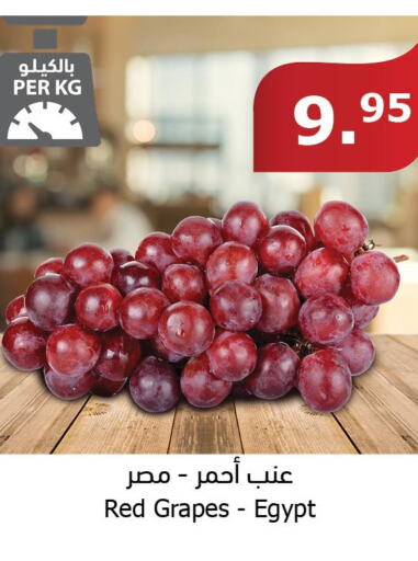  Grapes  in الراية in مملكة العربية السعودية, السعودية, سعودية - الطائف