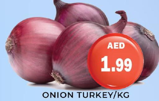  Onion  in هايبر ماركت مينا المدينة in الإمارات العربية المتحدة , الامارات - الشارقة / عجمان