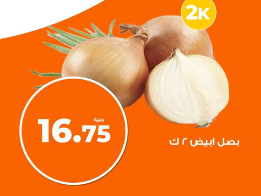  Onion  in كازيون in Egypt - القاهرة