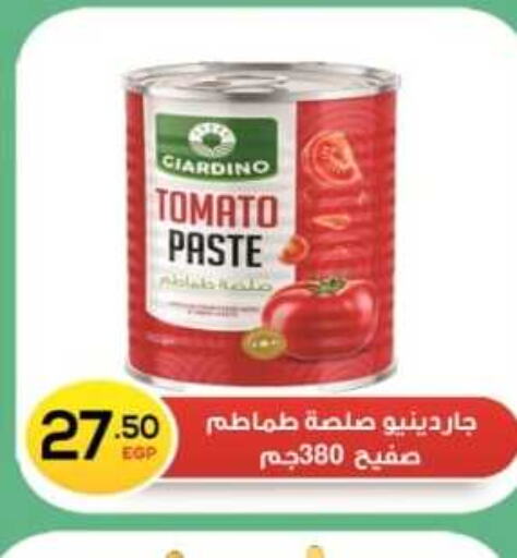  Tomato Paste  in Euromarche in Egypt - Cairo