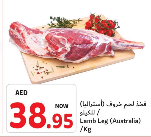 Mutton / Lamb  in Umm Al Quwain Coop in UAE - Umm al Quwain