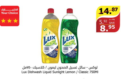 LUX   in Al Raya in KSA, Saudi Arabia, Saudi - Medina