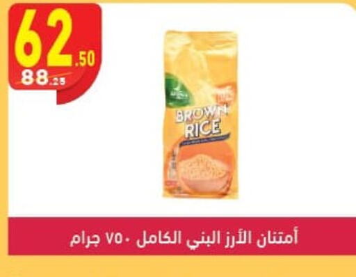  Brown Rice  in Mahmoud El Far in Egypt - Cairo