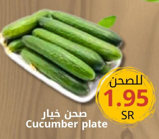  Cucumber  in جوول ماركت in مملكة العربية السعودية, السعودية, سعودية - المنطقة الشرقية