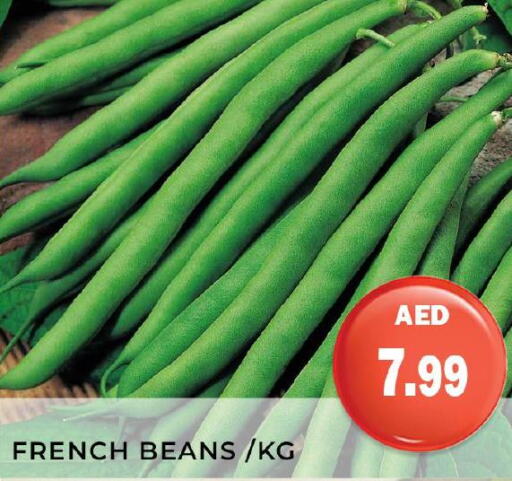  Beans  in هايبر ماركت مينا المدينة in الإمارات العربية المتحدة , الامارات - الشارقة / عجمان