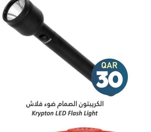 SANDISK Flash Drive  in دانة هايبرماركت in قطر - الخور
