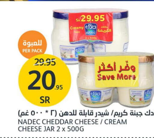 NADEC Cheddar Cheese  in AlJazera Shopping Center in KSA, Saudi Arabia, Saudi - Riyadh