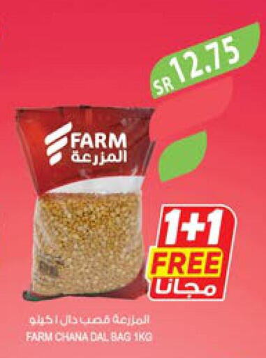 FORTUNE Basmati / Biryani Rice  in المزرعة in مملكة العربية السعودية, السعودية, سعودية - الرياض