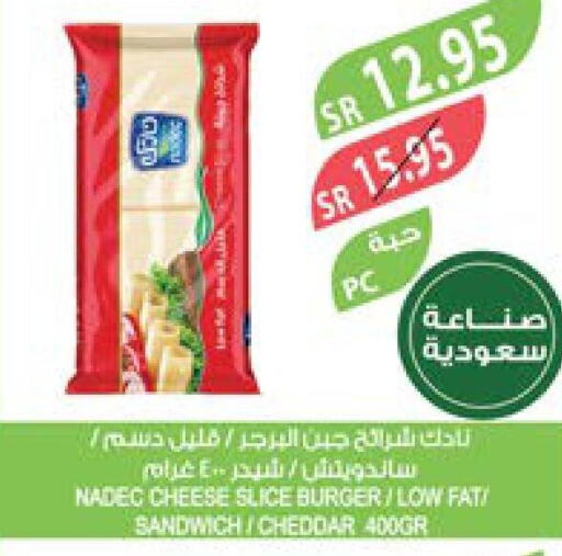 NADEC Slice Cheese  in المزرعة in مملكة العربية السعودية, السعودية, سعودية - نجران