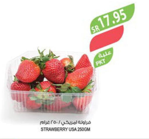  Berries  in Farm  in KSA, Saudi Arabia, Saudi - Qatif