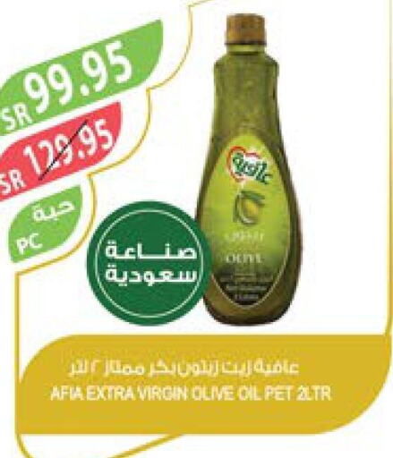 AFIA Extra Virgin Olive Oil  in Farm  in KSA, Saudi Arabia, Saudi - Sakaka