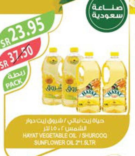 HAYAT Sunflower Oil  in Farm  in KSA, Saudi Arabia, Saudi - Jeddah