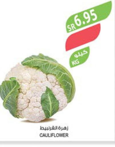  Cauliflower  in المزرعة in مملكة العربية السعودية, السعودية, سعودية - الخفجي