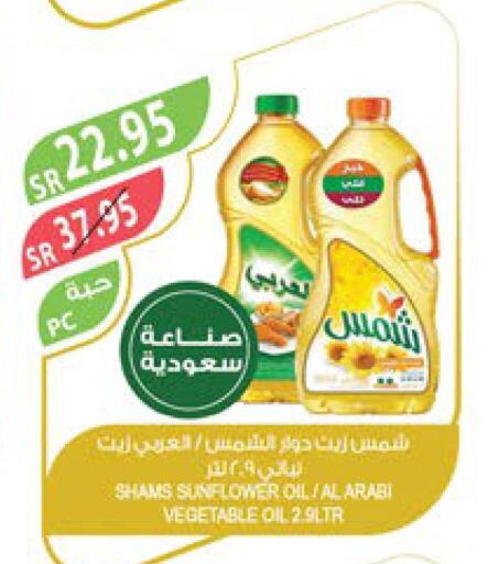 SHAMS Sunflower Oil  in Farm  in KSA, Saudi Arabia, Saudi - Tabuk