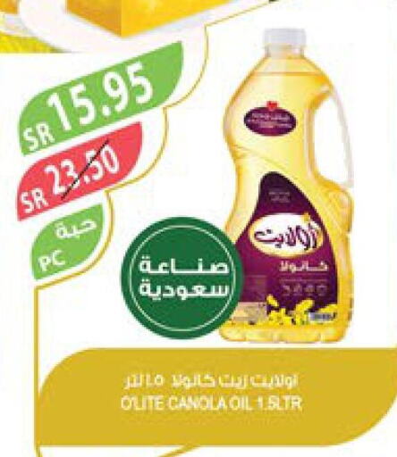 Olite Canola Oil  in المزرعة in مملكة العربية السعودية, السعودية, سعودية - الجبيل‎