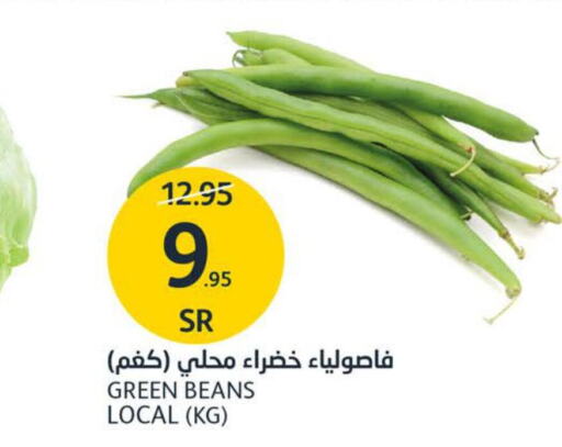  Beans  in AlJazera Shopping Center in KSA, Saudi Arabia, Saudi - Riyadh
