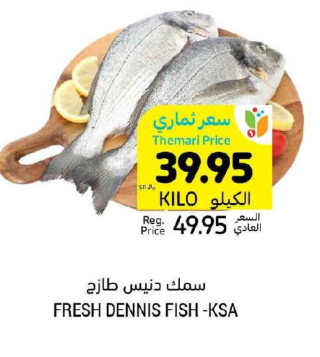  King Fish  in Tamimi Market in KSA, Saudi Arabia, Saudi - Al Khobar