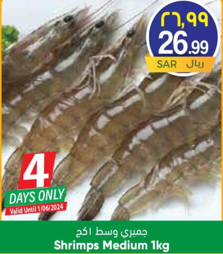  King Fish  in ستي فلاور in مملكة العربية السعودية, السعودية, سعودية - حائل‎