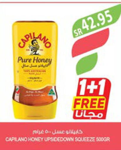  Honey  in Farm  in KSA, Saudi Arabia, Saudi - Tabuk