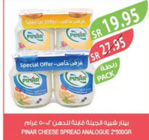 PINAR Analogue Cream  in Farm  in KSA, Saudi Arabia, Saudi - Yanbu
