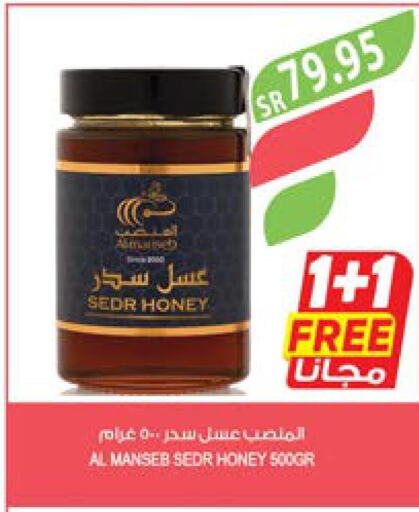 Honey  in Farm  in KSA, Saudi Arabia, Saudi - Jazan
