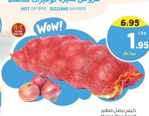  Onion  in Nesto in KSA, Saudi Arabia, Saudi - Dammam