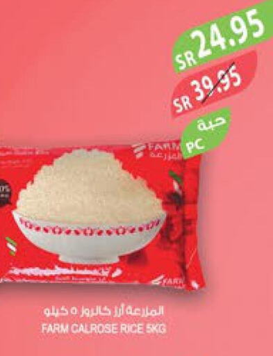  Egyptian / Calrose Rice  in المزرعة in مملكة العربية السعودية, السعودية, سعودية - الأحساء‎