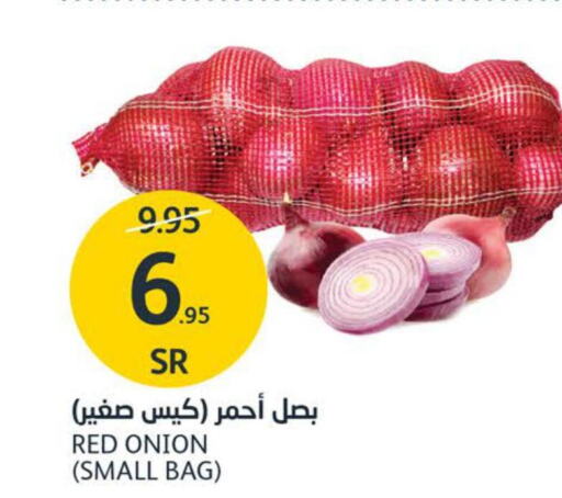  Onion  in AlJazera Shopping Center in KSA, Saudi Arabia, Saudi - Riyadh