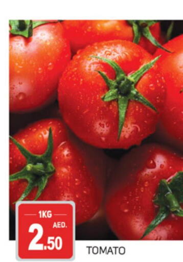  Tomato  in TALAL MARKET in UAE - Sharjah / Ajman