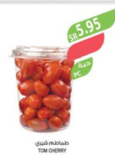  Tomato  in المزرعة in مملكة العربية السعودية, السعودية, سعودية - تبوك