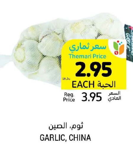  Garlic  in Tamimi Market in KSA, Saudi Arabia, Saudi - Unayzah