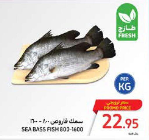  King Fish  in Carrefour in KSA, Saudi Arabia, Saudi - Dammam