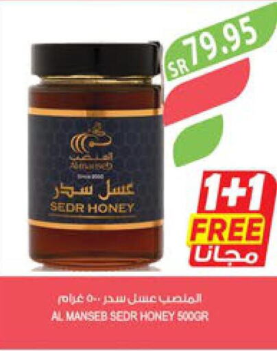  Honey  in Farm  in KSA, Saudi Arabia, Saudi - Saihat