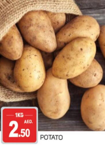  Potato  in سوق طلال in الإمارات العربية المتحدة , الامارات - الشارقة / عجمان
