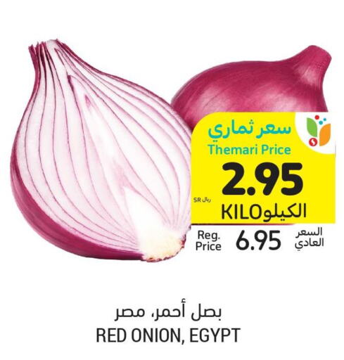  Onion  in Tamimi Market in KSA, Saudi Arabia, Saudi - Buraidah