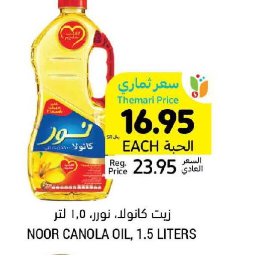 NOOR Canola Oil  in أسواق التميمي in مملكة العربية السعودية, السعودية, سعودية - المدينة المنورة