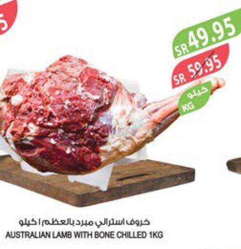  Mutton / Lamb  in المزرعة in مملكة العربية السعودية, السعودية, سعودية - نجران