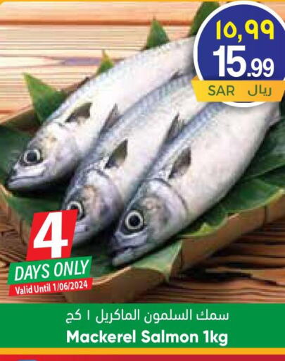  King Fish  in ستي فلاور in مملكة العربية السعودية, السعودية, سعودية - حائل‎