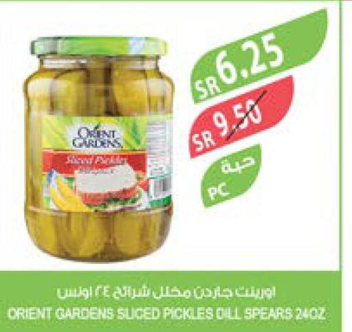  Pickle  in Farm  in KSA, Saudi Arabia, Saudi - Saihat