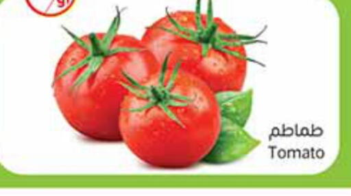  Tomato  in أسواق عبد الله العثيم in مملكة العربية السعودية, السعودية, سعودية - الخبر‎