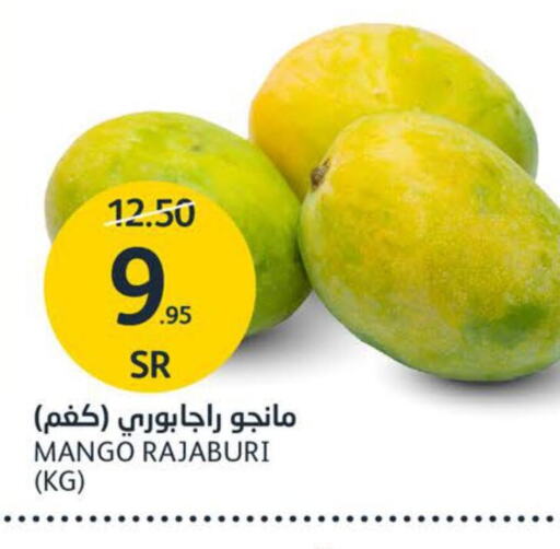 Mango Mangoes  in AlJazera Shopping Center in KSA, Saudi Arabia, Saudi - Riyadh