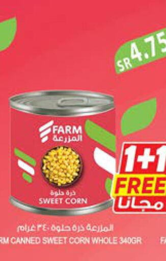 REEM Tuna - Canned  in Farm  in KSA, Saudi Arabia, Saudi - Saihat