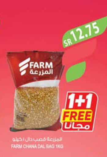 FORTUNE Basmati / Biryani Rice  in Farm  in KSA, Saudi Arabia, Saudi - Yanbu